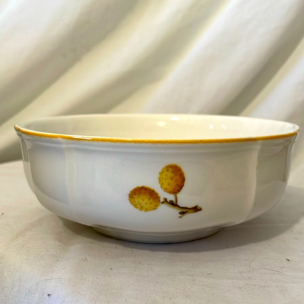 Villeroy & Boch Parkland bowls set of 2 cereal bowls